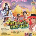 Asoke Sawanwa Me Chali Na A Saiya Chhotu Raj Song Download Mp3