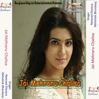 Jai Mehraru Chalisa songs mp3