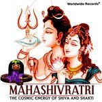Mahashivratri - The Cosmic Energy of Shiva and Shakti songs mp3