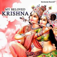 Shri Krishna Sharanam Mama Suresh Wadkar Song Download Mp3