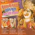 He Patan Devi Feri Najari Bablu Singh Song Download Mp3