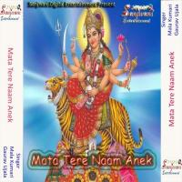 Mata Tere Naam Anek songs mp3