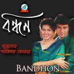 Nishanga Rhydoy Shakila Jafar,Shuvra Dev Song Download Mp3