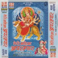 Mai Bhavani Maiya Ki Vaidehi Saran Song Download Mp3