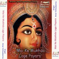 Lali Chunriya Chadha Di Amar Vishwakarma Song Download Mp3