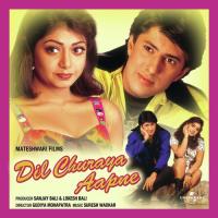 Dil Churaya Aapne (OST) songs mp3