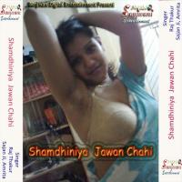 Sona Chandi Na Dhan Chahi Raj Thakur Song Download Mp3