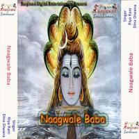 Suna A Naag Baba Dina Diwana Song Download Mp3