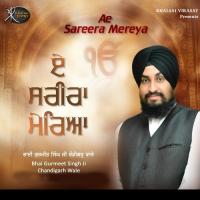 Ae Sareera Mereya Bhai Gurmeet Singh Ji Chandigarh Wale Song Download Mp3