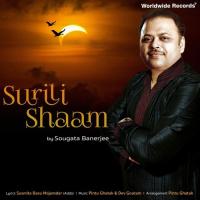 Surili Shaam songs mp3