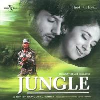 Jaan (Jungle  Soundtrack Version) Kumar Sanu,Sunidhi Chauhan Song Download Mp3