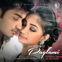 Tumi Noyon Palash Sen,Sharalipi Song Download Mp3
