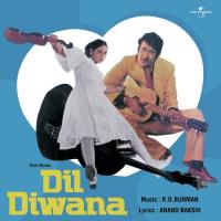 Dil Diwana (OST) songs mp3