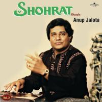 Aaj Hamein Diwana (Album Version) Anup Jalota Song Download Mp3