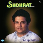 Ek Toota Hua Sheesha Hoon (Album Version) Anup Jalota Song Download Mp3
