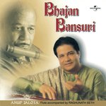 Kutumb Taji Sharan (Raag Bairagi) (Album Version) Anup Jalota Song Download Mp3