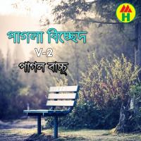 Bondhu Tore Ami Pagol Bacchu Song Download Mp3