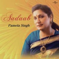 Unse Hamen Kuchh Kaam Nahin Hai (Album Version) Pamela Singh Song Download Mp3