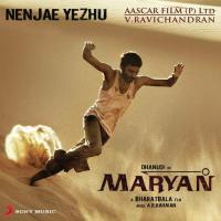 Nenjae Yezhu A.R. Rahman Song Download Mp3