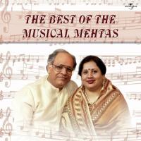 Kuchh Mujhko Doston Mein (Album Version) Nina Mehta,Rajendra Mehta Song Download Mp3