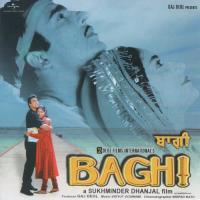 Baghi (OST) songs mp3