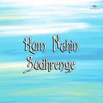 Hum Nahin Sudhrenge (OST) songs mp3