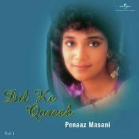 Mere Palkon Ke Ujalon Mein (Album Version) Peenaz Masani Song Download Mp3