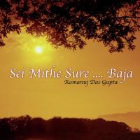 Sakhi Je Angulite (Album Version) Ramanuj Dasgupta Song Download Mp3