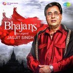 Shree Krishna Naam Dhun Jagjit Singh Song Download Mp3