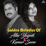 Mera Dil Bhi Kitna Pagal Hai Kumar Sanu,Alka Yagnik Song Download Mp3