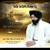 Tere Bharose Pyare Bhai Hira Singh Ji Batale Wale Song Download Mp3