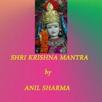 Shri Krishna Mantra Anil Sharma Song Download Mp3
