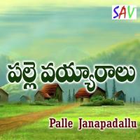 Palle Vayarallu songs mp3