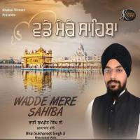 Wadde Mere Sahiba Bhai Sukhpreet Singh Ji Moradabad Wale Song Download Mp3