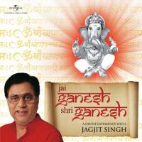 Shri Ganesh Deva Jai Ganesh Deva (Album Version) Jagjit Singh Song Download Mp3