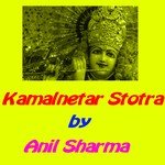 Kamalnetar Stotra Anil Sharma Song Download Mp3