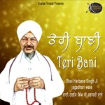 Teri Bani Bhai Harbans Singh Ji Jagadhari Wale Song Download Mp3