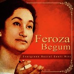 Feroza Begum - Evergreen Nazrul Geeti Hits songs mp3