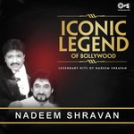 Iconic Legend Of Bollywood - Legendary Hits Of Nadeem-Shravan songs mp3