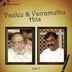 Vaalee And Vairamuthu Hits: Vol.1 songs mp3