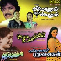 Janani Janani Jayachandran,S.P.Sailaja Song Download Mp3