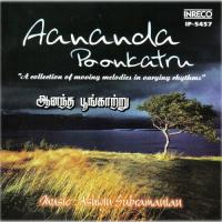 Kannai Thirandhu Sreevalsan J. Menon Song Download Mp3