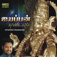 Ayyappan Thandavam songs mp3