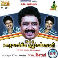 1000 Udhai Vaagiya Aboorva Sigamani Part - 02 S.Ve.Shekher Song Download Mp3