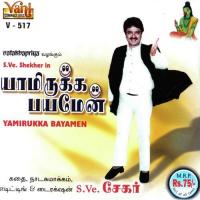 Yamirukka Bayamen Part - 01 S.Ve.Shekher Song Download Mp3
