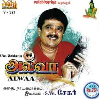 Alwaa songs mp3