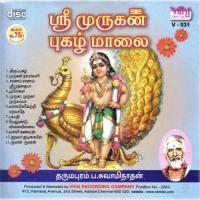 Sri Murgan Puzhal Maalai songs mp3