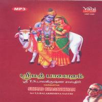 Srimad Bhagavatham songs mp3