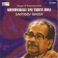 Krishnakali Aami Tareyi Boli songs mp3