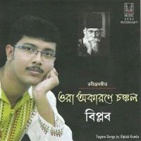 Aaji Barishanmukharito Shrabanrati-Biplab Biplab Song Download Mp3